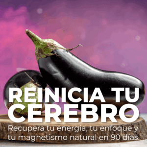 Programa para reinicia tu cerebro en 90 días